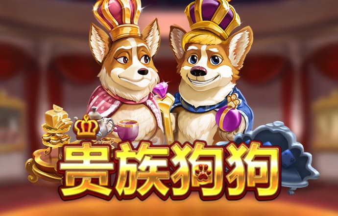 九州体育最新网站截图3